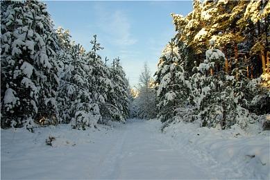 《暗黑破坏神4》1周年纪念活动：宝藏哥布林入侵！